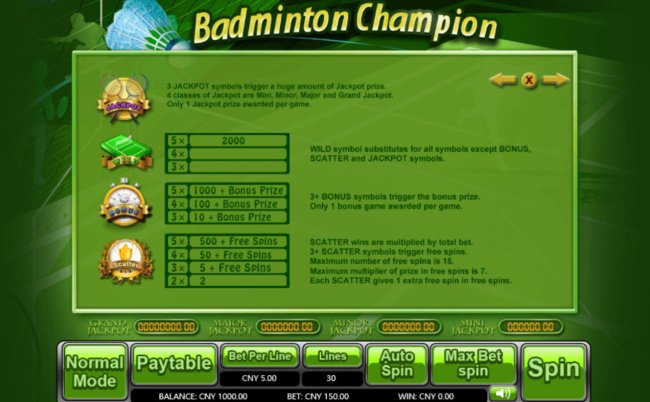 Badminton Champion screenshot