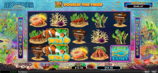 A pair of wild symbols activates a pair of paylines leading to a 54.00 payout. by Free Slots 247