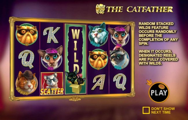 Free Slots 247 image of The Catfather