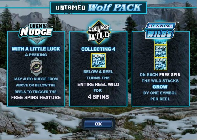 Images of Untamed Wolf Pack