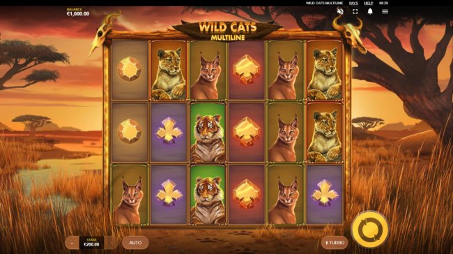 Wild Cats Multiline screenshot