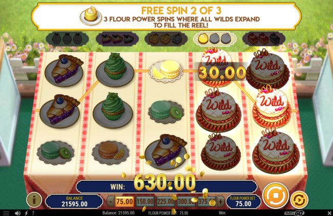 Multiple winning paylines triggers a big win by Free Slots 247