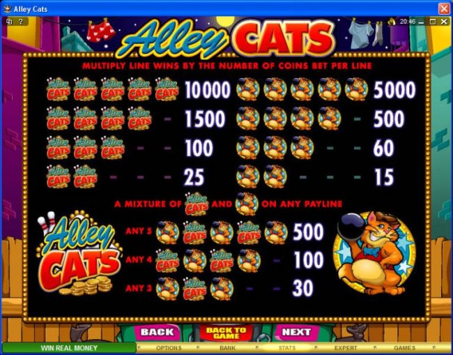 Alley Cats screenshot