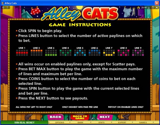 Alley Cats screenshot