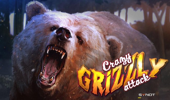 Crazy Grizzly Attack screenshot