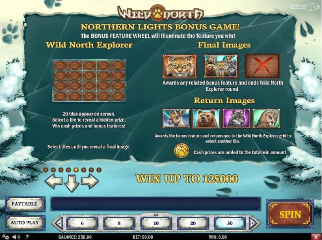 Northern Lights Bonus game Rules - Wild North Explorer by Free Slots 247