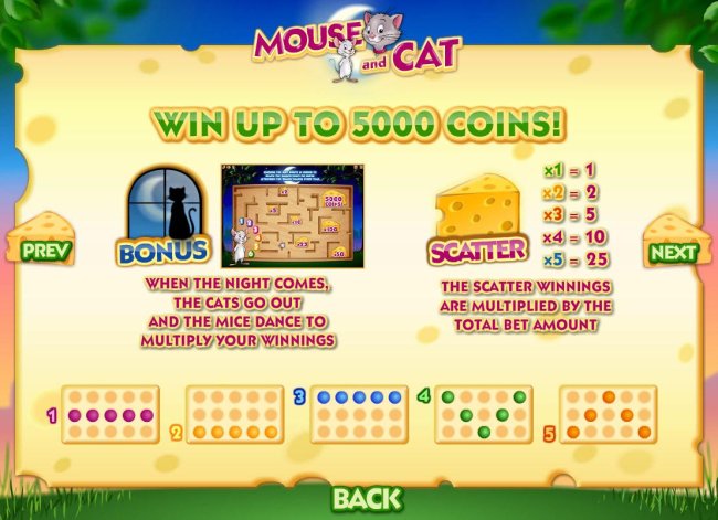 Free Slots 247 image of Mouse and Cat