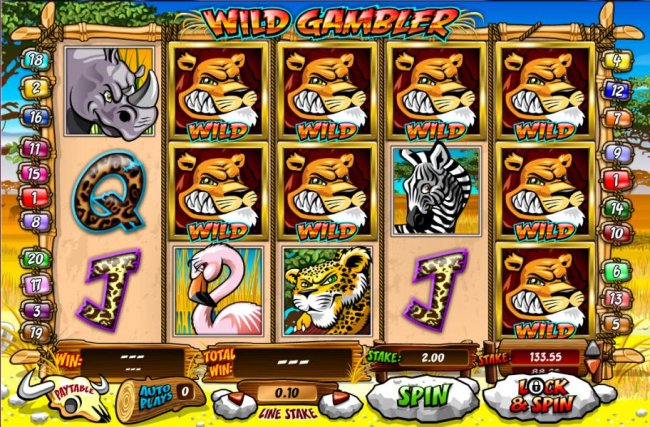 main game board featuring 5 reels and 20 paylines by Free Slots 247
