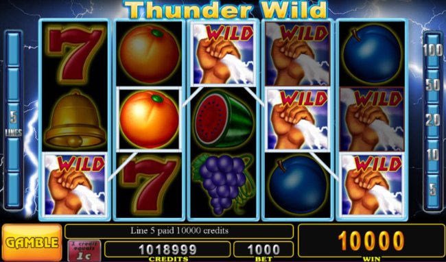Free Slots 247 image of Thunder Wild