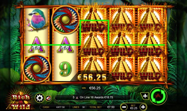 Rich n Wild by Free Slots 247