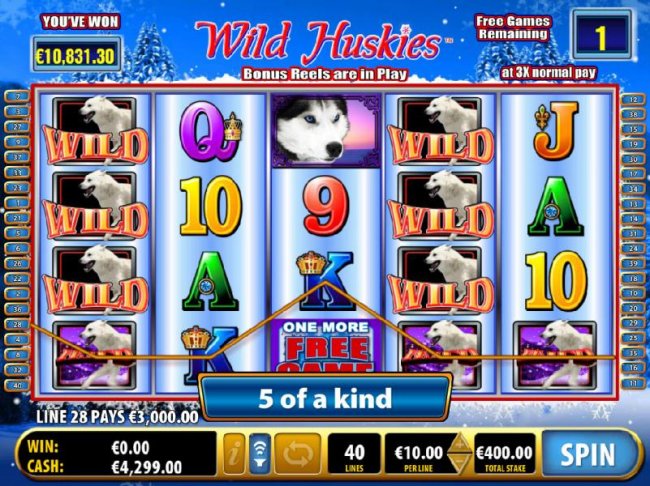 Free Slots 247 - 5 of a kind