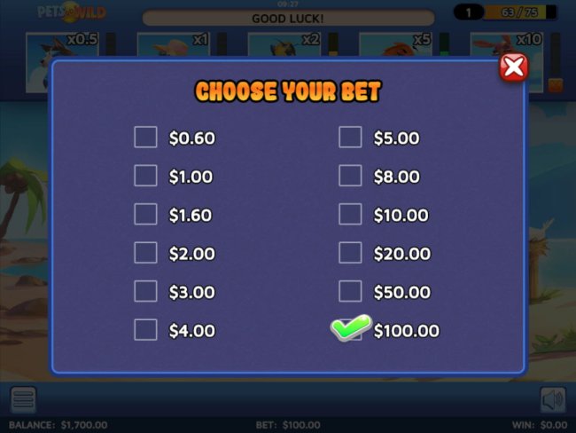 Choose Your Bet by Free Slots 247
