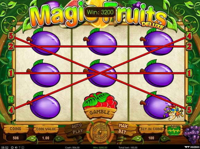 Magic Fruits Deluxe by Free Slots 247