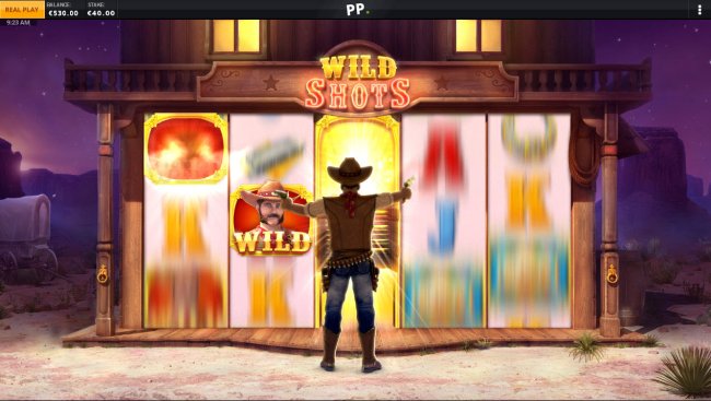 Wild Sheriff screenshot