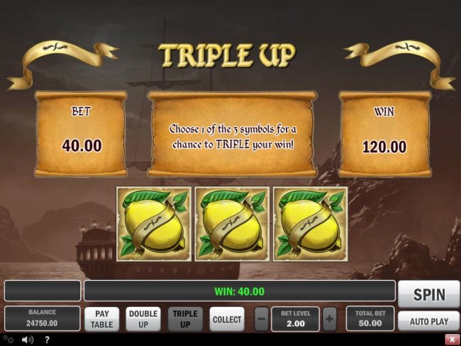 Triple Up Gamble Feature Rules by Free Slots 247