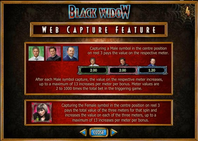 Free Slots 247 - Web Capture Feature Rules