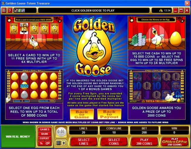 Free Slots 247 image of Golden Goose - Totem Treasure