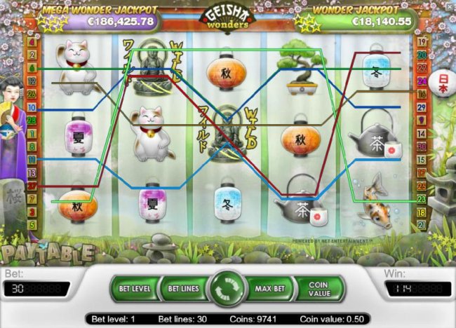 a pair of wild symbols triggers multiple winning paylines for a 114 coin jackpot by Free Slots 247