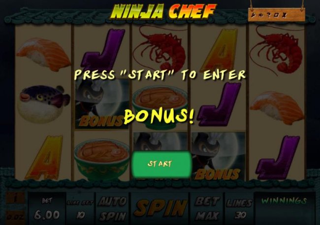 bonus feature awarded by Free Slots 247