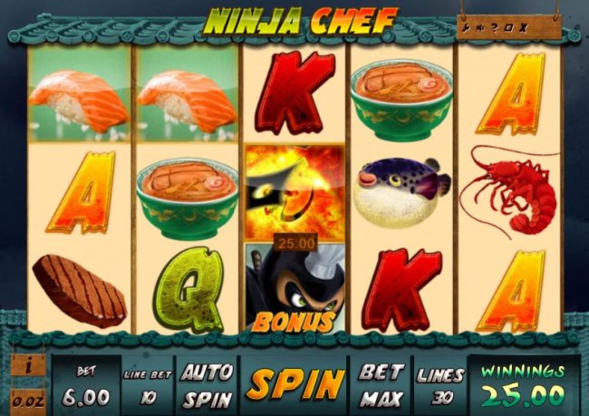Images of Ninja Chef