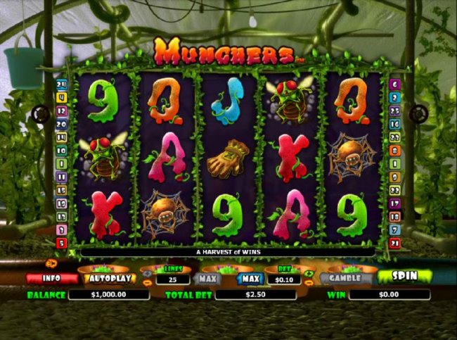 Free Slots 247 - main agme featuring five reels and 25 paylines