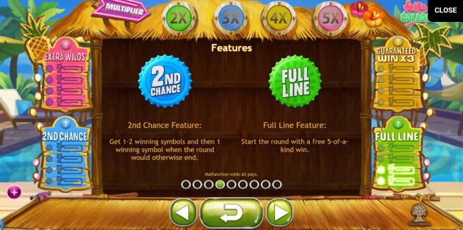 2nd Chance Feature and Full Line Feature Rules - Free Slots 247