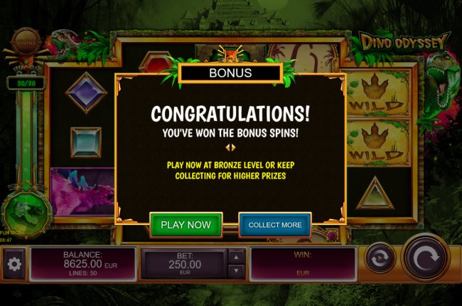 Free Slots 247 - Bonus feature triggered