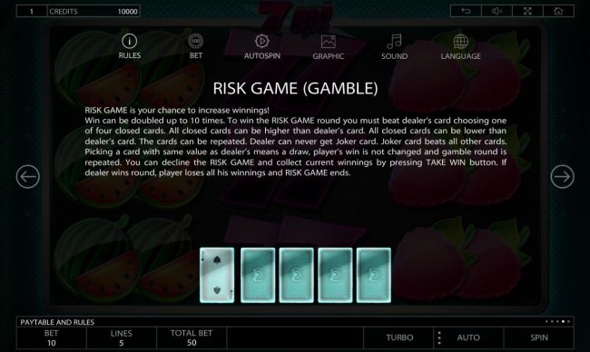 Risk Game (gamble) Rules by Free Slots 247