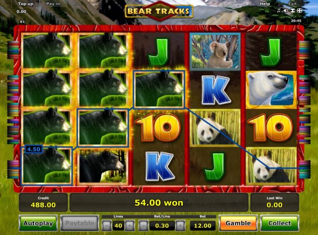 Free Slots 247 image of Bear Tracks