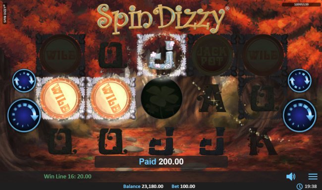 Images of Spin Dizzy