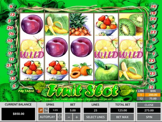 Fruit Slot 25 Lines screenshot