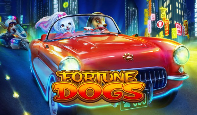 Fortune Dogs by Free Slots 247