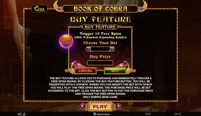 Book of Cobra screenshot
