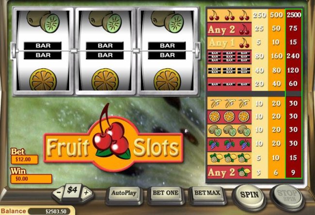 Fruit Slots by Free Slots 247