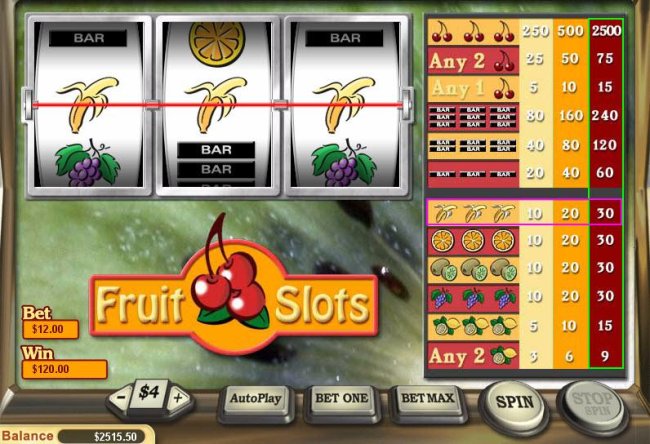 Fruit Slots by Free Slots 247