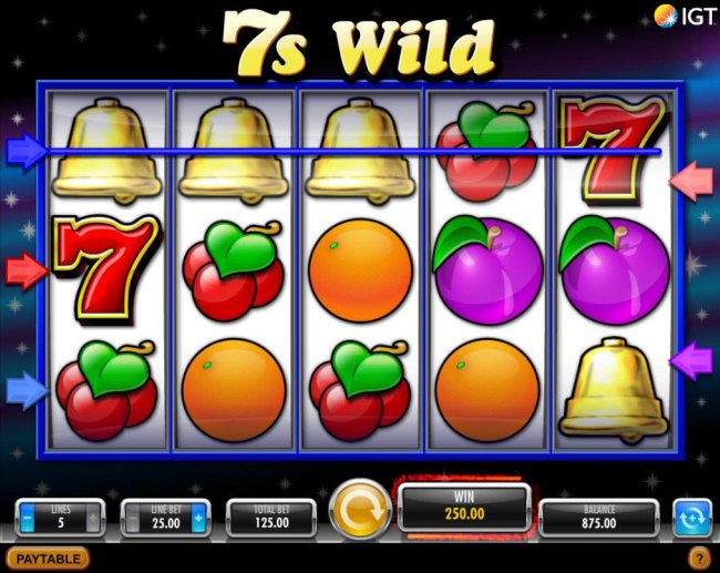 Free wild slots machine games