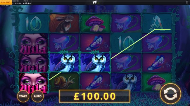 Free Slots 247 image of Forest Rush