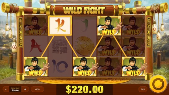 Free Slots 247 image of Wild Fight