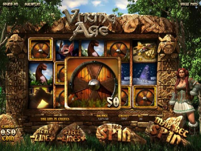 Free Slots 247 image of Viking Age