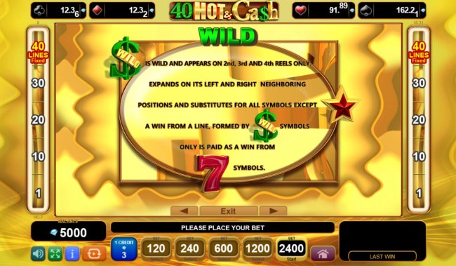 40 Hot & Cash screenshot