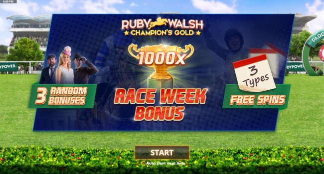 Free Slots 247 image of Ruby Walsh Champion's Gold