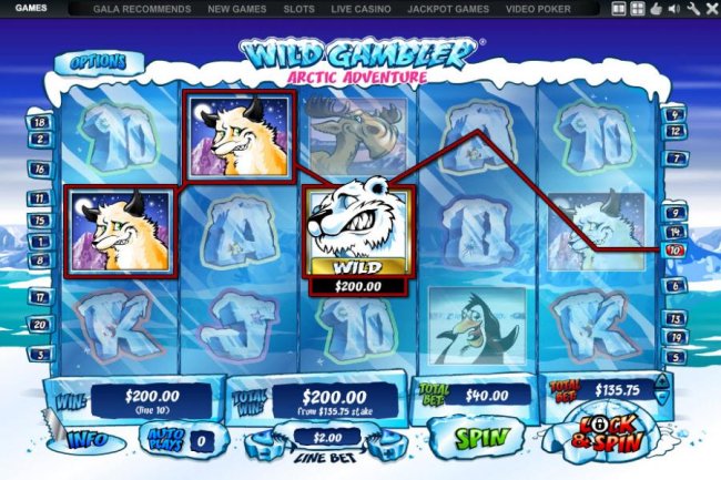 Free Slots 247 image of Wild Gambler Artic Adventure