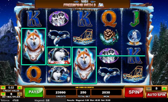 Multiple winning paylines - Free Slots 247