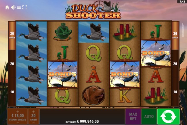 Duck Shooter screenshot