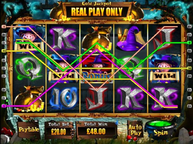 A pair of Pig Wizard Wild symbols triggers multiple winning paylines. - Free Slots 247
