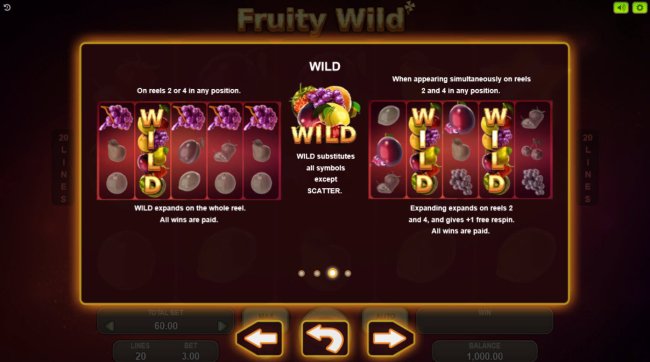 Free Slots 247 - Wild Symbol Rules