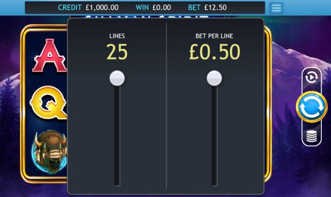 Click on the coins button to adjust the lines and or bet per line played by Free Slots 247