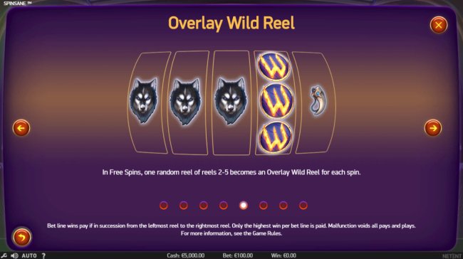 Overlay Wild Reel - Free Slots 247