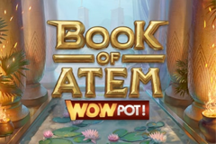 Book of Atem Wow Pot