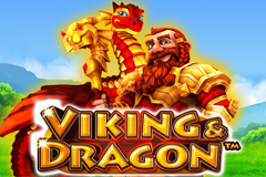 Viking & Dragon